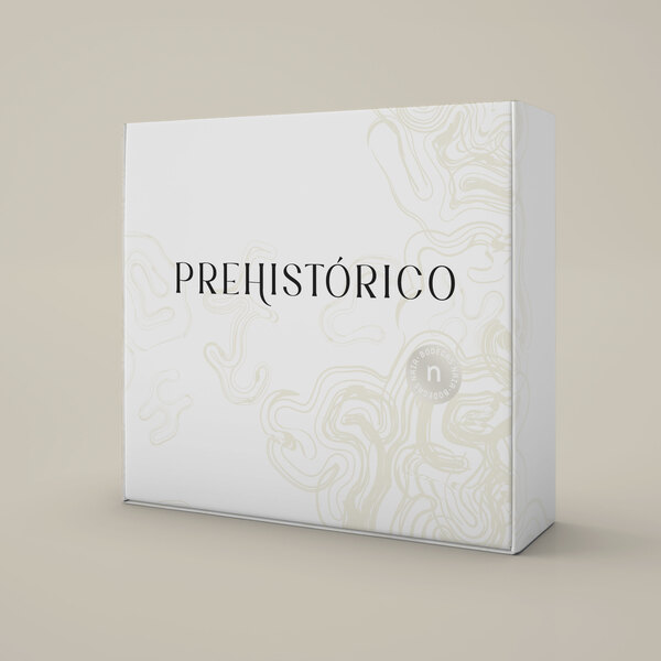 Diseño de bolsa corporativa